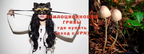 а пвп мука Верхний Тагил