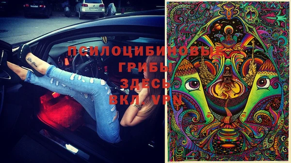 а пвп мука Верхний Тагил